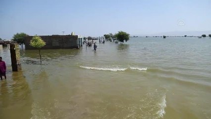 Son dakika haberi! Pakistan'ın Sehvan şehrinde selin etkisi yıkıcı oldu