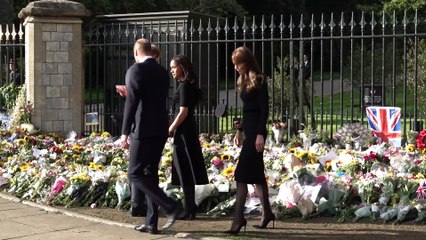 William_ Harry_ Kate and Meghan greet crowds at Windsor Castle_Original Video_m219737