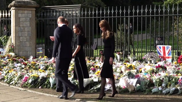 William_ Harry_ Kate and Meghan greet crowds at Windsor Castle_Original Video_m219737
