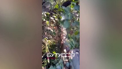 Ukraine LIVE: Putin facing worst defeat since WW2 as Russian troops stranded in Kharviv