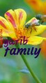 Extra Entertainment  garib family Vlogs #dailyvlog #garibfamilyVlogs #vlog