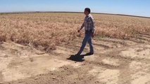 美 남서부 극심한 가뭄...물 부족 사태 현실화 / YTN