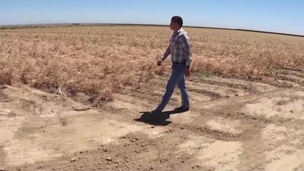 美 남서부 극심한 가뭄...물 부족 사태 현실화 / YTN