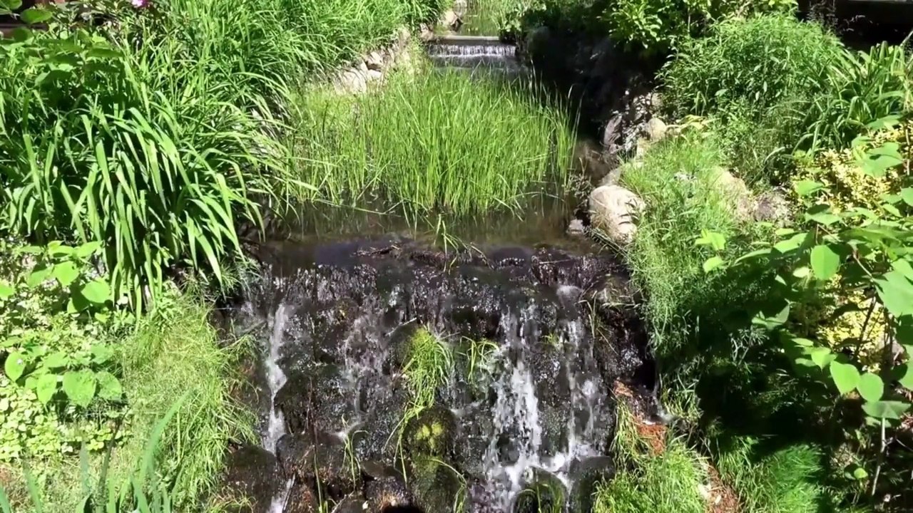 Musica Calma Para Aliviar Ansiedade , Depressão , Stress E Domir Bem , Muitas Aguas