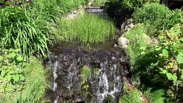 Musica Calma Para Aliviar Ansiedade , Depressão , Stress E Domir Bem , Muitas Aguas