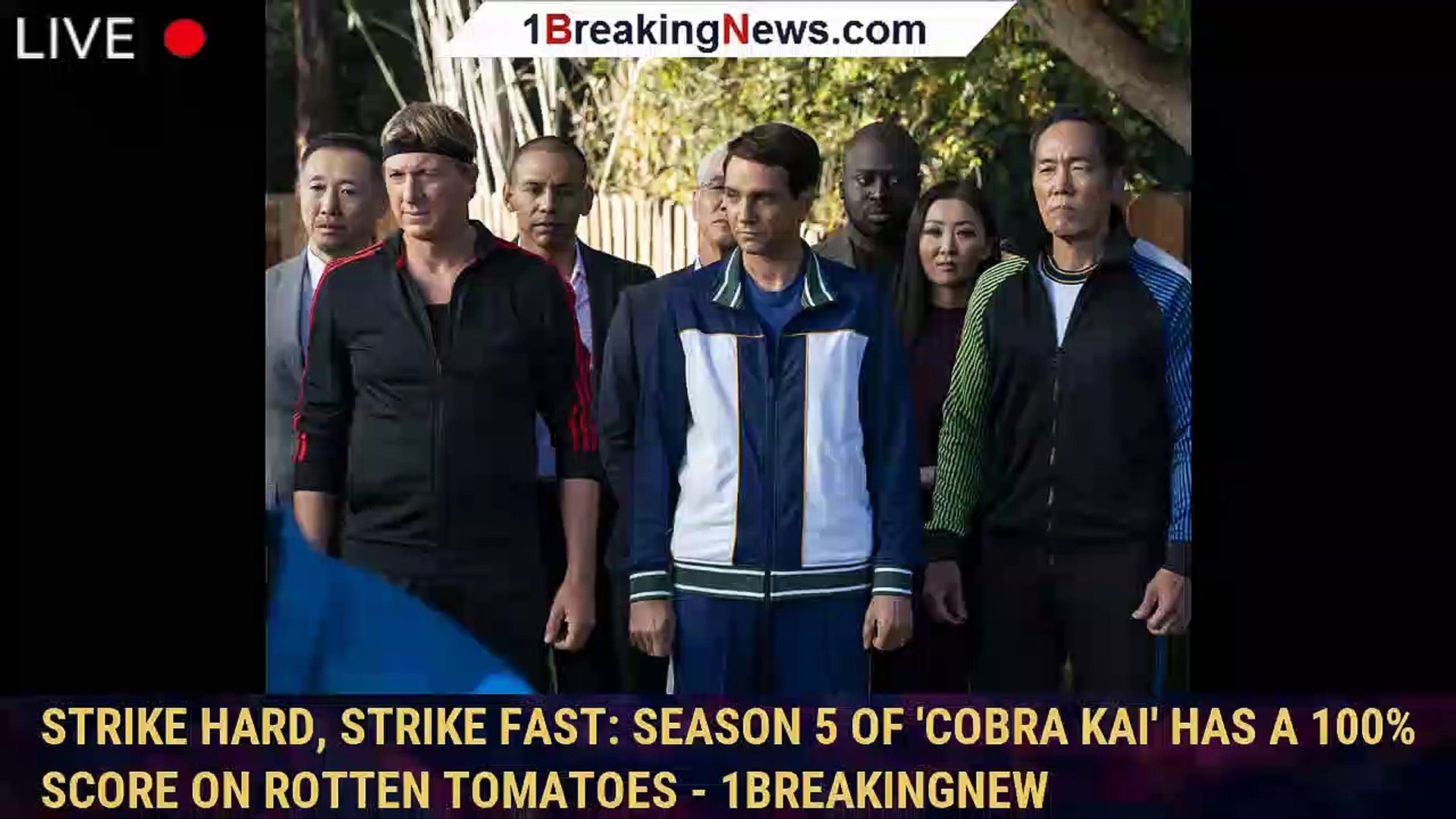 Cobra kai shop full episodes dailymotion