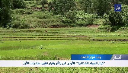 "تجار المواد الغذائية": الأردن لن يتأثر بقرار الهند تقييد صادرات الأرز