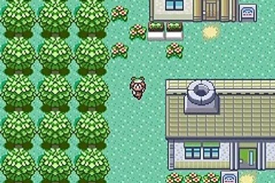 Pokémon Émeraude Pâle online multiplayer - gba