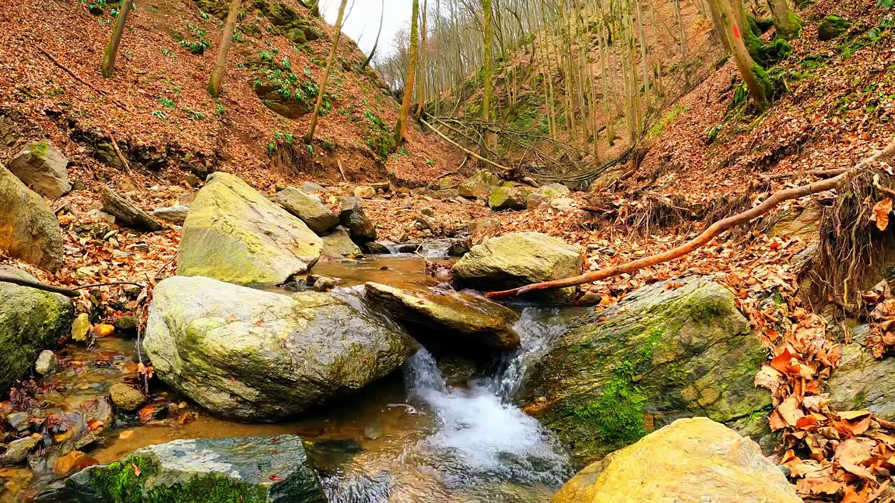 Relaxing  nature sounds - water sounds in the forest