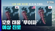 12호 태풍 '무이파' 예상 진로...현재 최대 순간 풍속 초속 40미터 / YTN