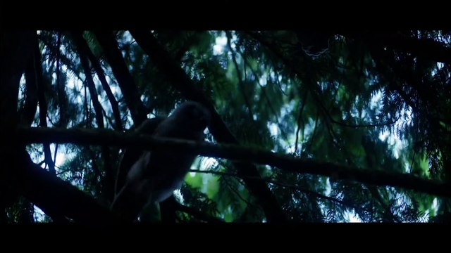 PERCY JACKSON AND THE OLYMPIANS Trailer Teaser (2022)