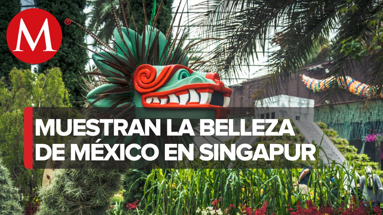Exposición mexicana ‘Hanging Gardens Mexican Roots’ llega a Singapur