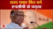Maharashtra Politics: Sharad Pawar फिर से बने NCP के मुखिया, Modi सरकार को बताया किसान विरोधी