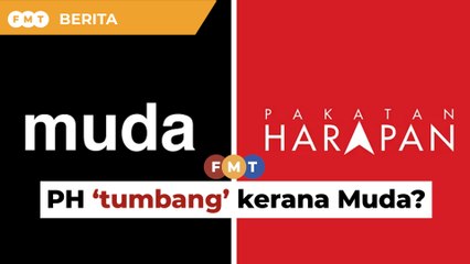 Berpecah kerana Muda, PH mungkin ‘tumbang’, kata penganalisis