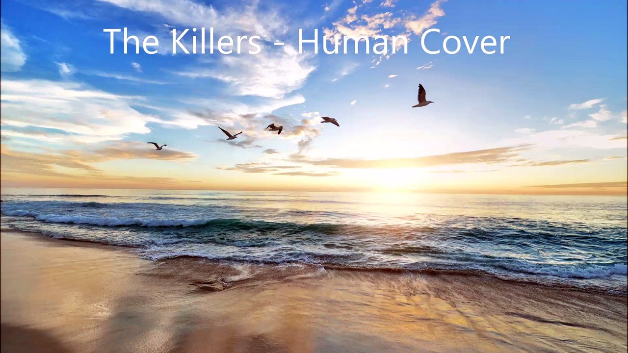 The Killers - Human Cover
