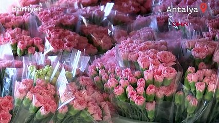 Kraliçe Elizabeth'in cenazesi için Türkiye'den 1,5 milyon dal karanfil