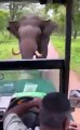 فيل غاضب يطارد سيارة سفاري وتصرف السائق ينقذ الموقف بالفيديو