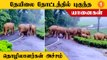 Wild Elephants | யானை கூட்டம் அடிக்கடி நடமாடுவதால் தேயிலை தொழிலாளர்கள் அச்சம்