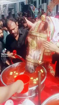 Shia people doing disgusting things.