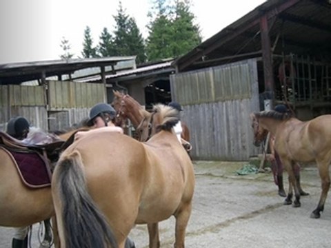 Randonnée 1ère partie