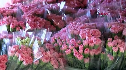 Kraliçe Elizabeth için Türkiye'den 1,5 milyon dal karanfil