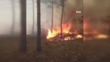 Tokat haberi... Tokat'ta korkutan orman yangını