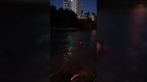 Sığ suda sıkışan yunus kurtarılarak denize bırakıldı