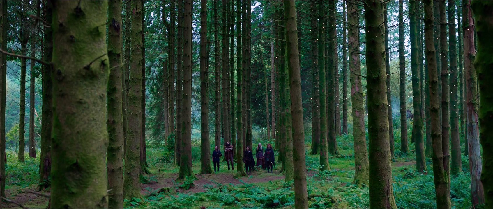 Willow Trailer - Warwick Davis