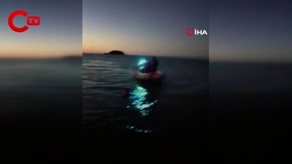 İtfaiye ve Sahil Güvenlikten yunus kurtarma operasyonu