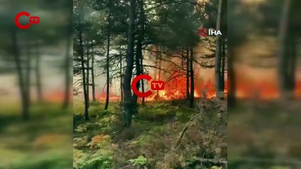 Son Dakika: Tokat’ta korkutan orman yangını!