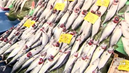 Balık tezgahlarında fiyatlar nasıl?