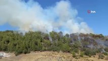 Antalya haberleri! Antalya'da çıkan orman yangını kontrol altına alındı