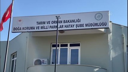 Son Dakika | Kaçak avcıların ateş açtığı av koruma ve kontrol ekibi görevlisi hayatını kaybetti