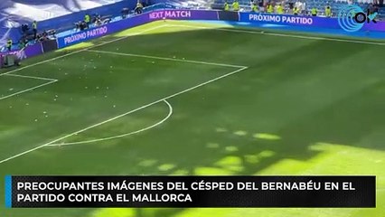 Preocupantes imágenes del césped del Bernabéu en el partido contra el Mallorca