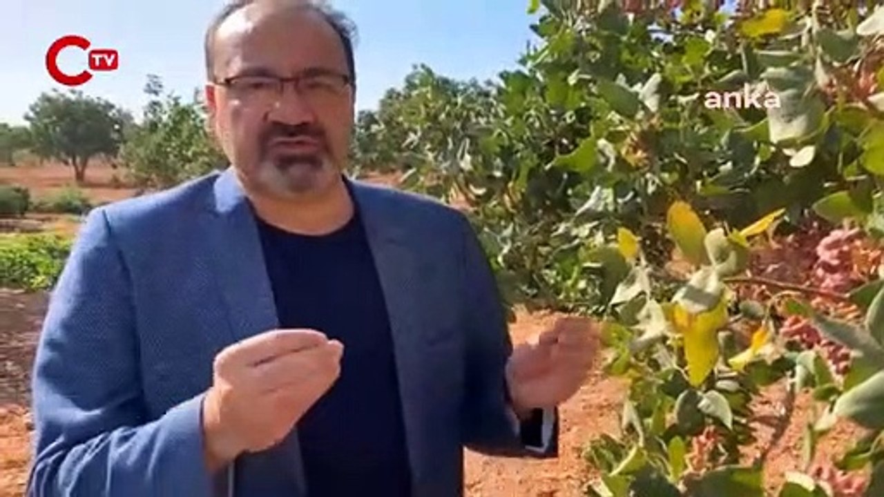 Gaziantep Milletvekili Yılmazkaya: “Devlet gereken desteklemeyi vermezse 5-6 yıl sonra belki de Antep fıstığına hasret kalacağız”