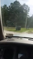 La blague qu'il fait à son grand-père est bien cruelle