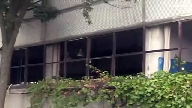 Ukraine war: Zaporizhzhia nuclear power plant's last operating reactor switched off