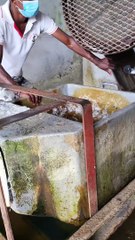 Ice Making Factory of Sri Lanka #shorts