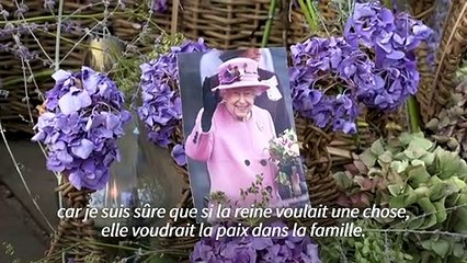 Devant Buckingham, des Britanniques espèrent un rapprochement entre William et Harry