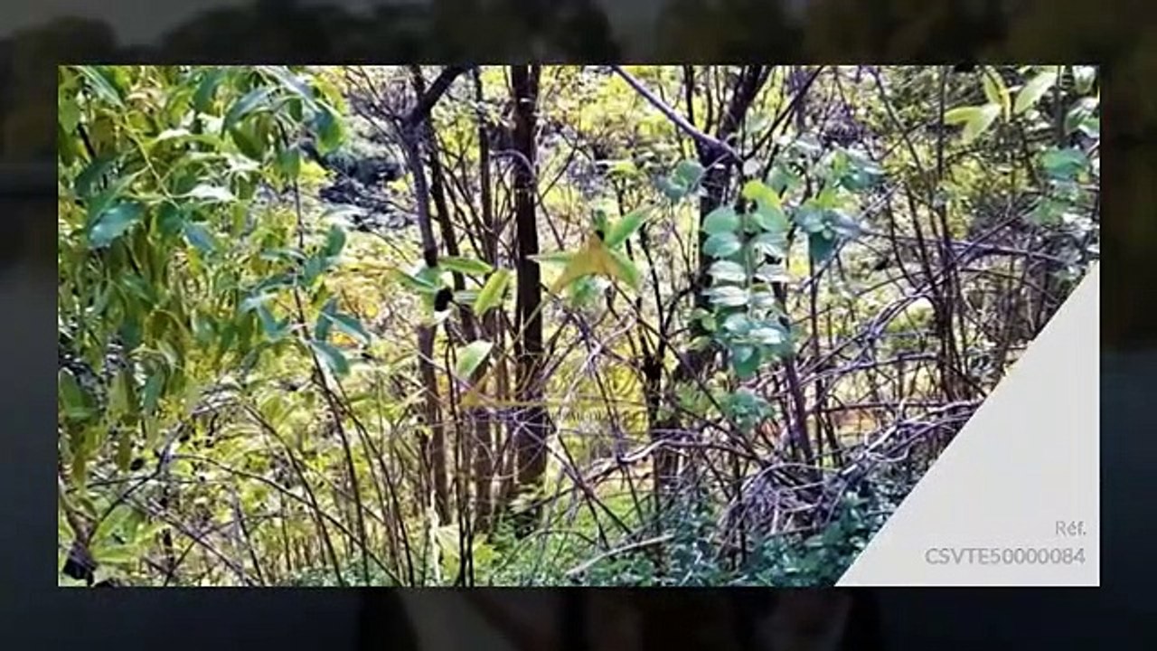 Punaauia Terrain à VENDRE de plus de 1300m2 à acheter