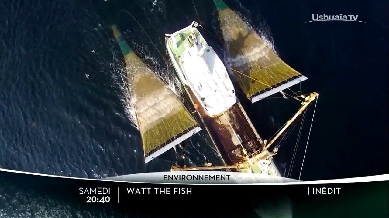 Watt the Fish - Bande annonce