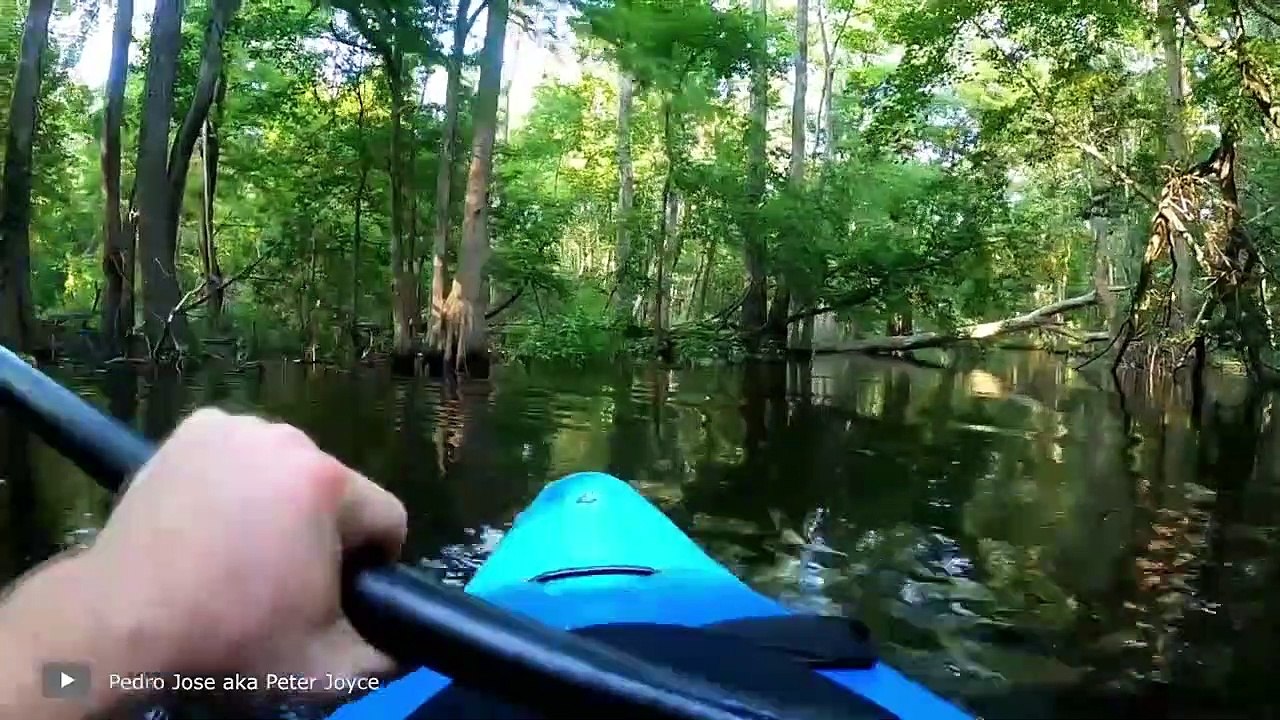 Scariest Crocodile Encounters You Should Avoid Watching