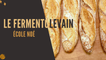 Ecole de Boulangerie Noé - Le fermentolevain