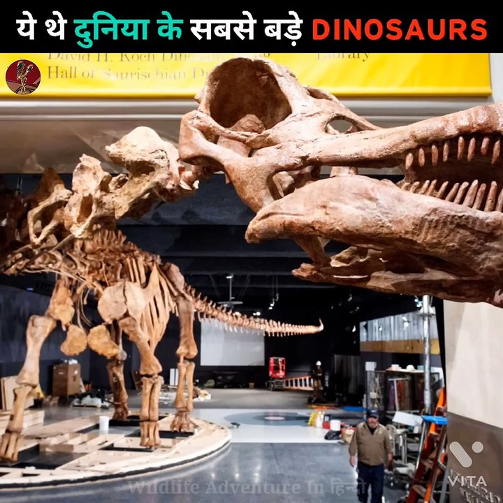 Jke.  "World's Biggest Dinosaur Ever"  दुनिया के सबसे बड़े DINOSAURS#shorts #dinosaurs #wildlife #facts