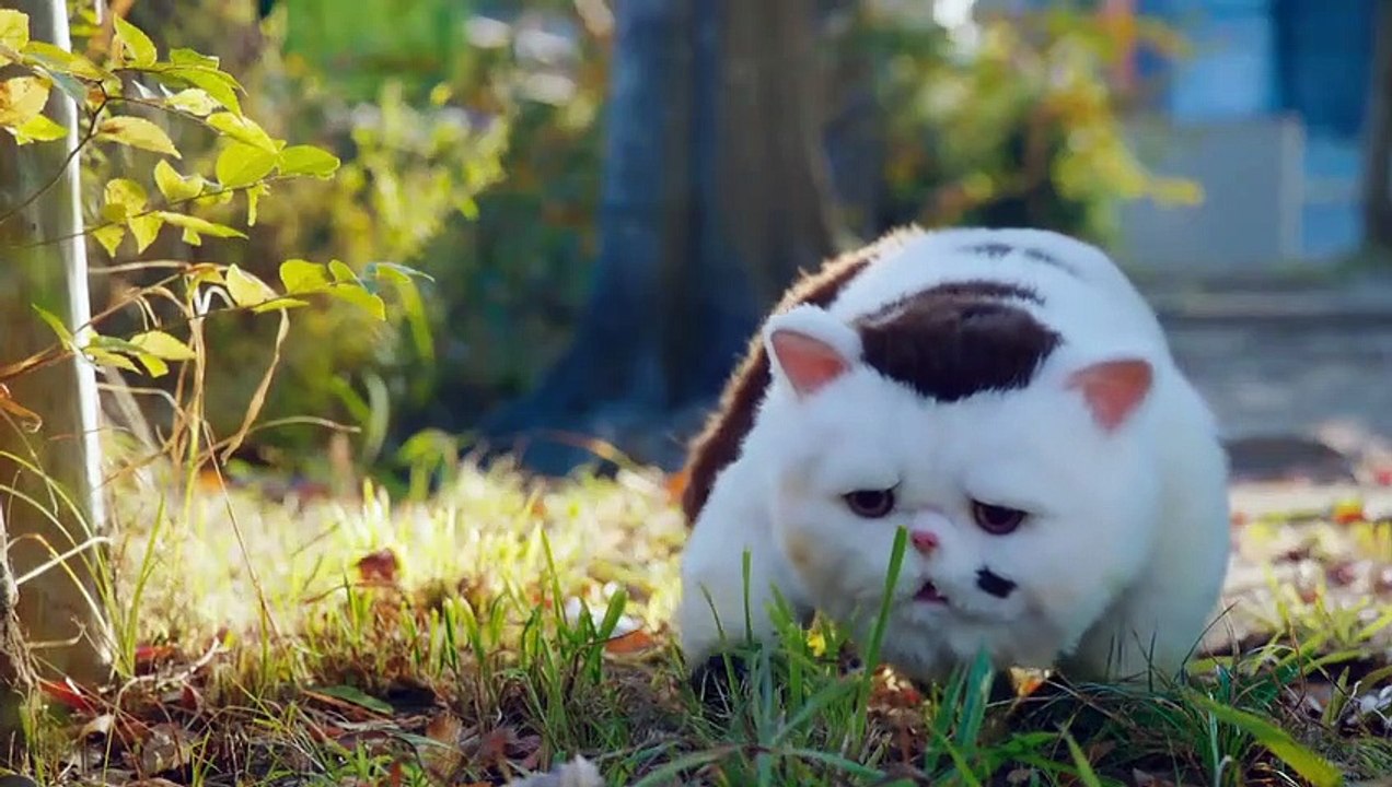 おじさまと猫 Ojisama to Neko (2021) - English SUB - E11