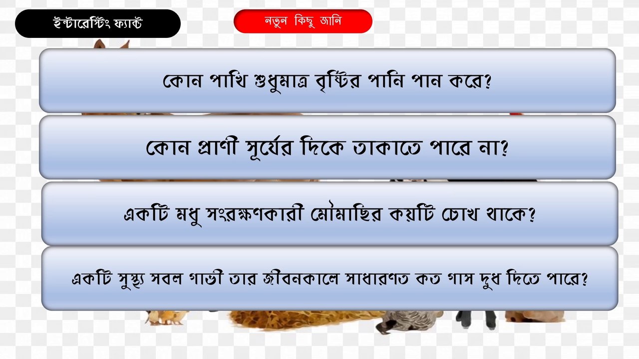 কোন পাখি শুধুমাত্র বৃষ্টির পানি পান করে/Interesting GK about birds and animal
