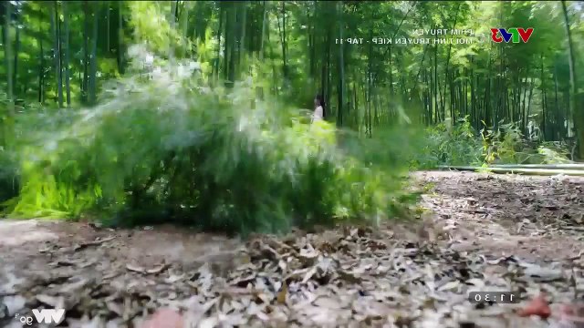 Mối Tình Truyền Kiếp Tập 11 - VTV3 Thuyết Minh - Phim Trung Quốc - xem phim moi tinh truyen kiep tap 12