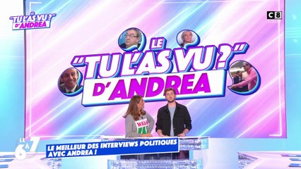 Le "Tu l'as vu ?" d'Andréa Bruche : le meilleur des interviews politiques