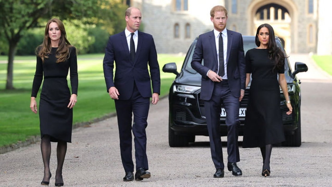 Körperspracheexpertin: prinz william und harry machen „kleine schritte“