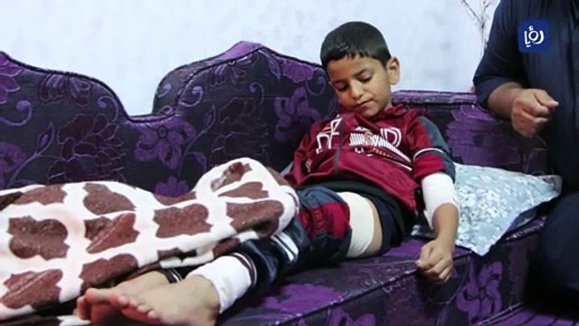 الكلاب الضالة تعقر أما وأطفالها الأربعة في الطفيلة